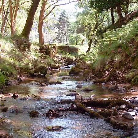 Trip 에리세이라